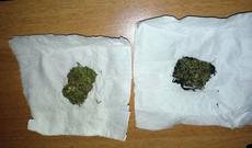 Narkotik vasitə - marixuana aşkarlanıb