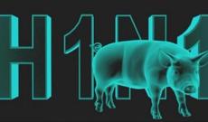 Gürcüstanda  virus qurbanlarının sayı artır