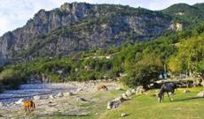 “Amerika genetikləri Gəncə yaxınlığındakı bu yer haqqında bizdən çox bilirlər...”