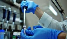 Azərbaycanda karantin sahələr elan olundu