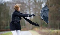 Bakıda küləyin sürəti artmaqda davam edir