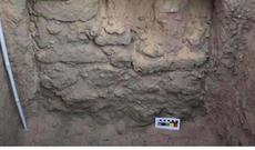 Misirdə növbəti nadir tapıntı