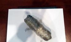 Daxili orqanlarında narkotik vasitə və psixotrop maddə keçirmək istədilər