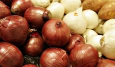 Türkiyəyə soğan satışına icazə verilib