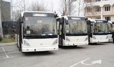 Ziya Məmmədovun avtobusları satılmır