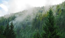 Sabah  havanın dəyişkən buludlu olacağı, arabir tutulacağı gözlənilir