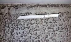 Gömrükdə narkotik vasitə - marixuana aşkarlanıb