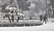 Baklya sulu qar yağır, problemlər başlayıb