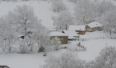 Şamaxı və Qubaya yağan qar yollarda problemlərə səbəb olub