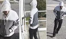 ABŞ-da həmvətənimizi güllələyən qatil tutuldu