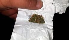 Avtomobildə narkotik vasitə - marixuana aşkarlanıb