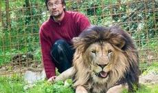 Çexiyada şir öz sahibini parçalayıb