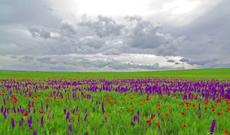 Sabah respublikamızın bəzi rayonlarına yağış və qar yağacaq