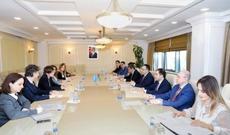 Əmək və Əhalinin Sosial Müdafiəsi Nazirliyində BMT İnkişaf Proqramının nümayəndə heyəti ilə görüş olub