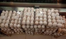 Yumurtanın qiyməti 6 qəpiyə düşdü: