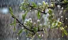 Sabah havanın dəyişkən buludlu olacağı, əsasən yağmursuz keçəcəyi gözlənilir