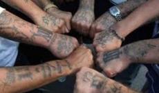 Azərbaycanda avtoritetlərə qarşı mübarizə sərtləşdiriləcək