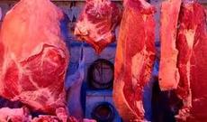 Beyləqanda 120 kiloqram yararsız ət aşkar edilib