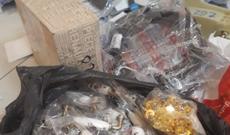 Avtomobil ehtiyat hissələri aşkarlandı