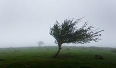 Xorvatiyada güclü külək fəsadlara yol açıb
