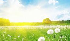 Sabah 34-39 dərəcə isti olacaq