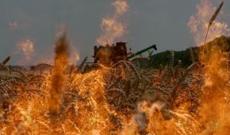 İsti havalar taxıl sahələrində yanğınlara səbəb olub