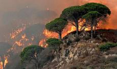 Qobustanda güclü  yanğın başlayıb