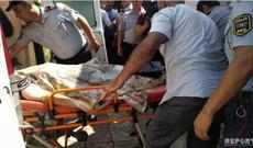 Ağstafada baş verən dəhşətli cinayət haqda - Rəsmi məlumat