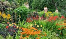 “Azərbaycan florasının 10 faizə qədəri itmək üzrədir”