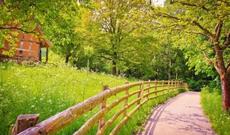 Sabah Azərbaycan ərazisində 38-41 dərcə isti gözlənilir