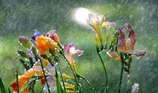 Sabah Azərbaycan ərazisində 33-35 dərəcə isti gözlənilir