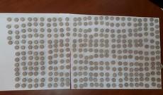 Həyat yoldaşını narkotik vasitəni gizlədərək keçirməyə məcbur etdi