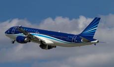 Naxçıvandan Bakıya uçan təyyarə quşla toqquşdu