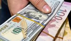 Avro bahalaşıb, rubl və manat sabit qalıb