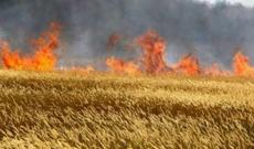 Ağdam,  Ağcabədi və Masallıda yanğın baş verib