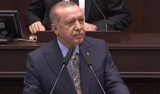 Türkiyə, Azərbaycan və Gürcüstan fındıq istehsalı sahəsində əməkdaşlığa başlayıblar