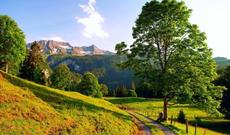 Bakıda 33-35, rayonlarda 41-43 dərəcə isti gözlənilir