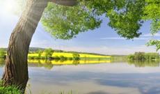 Sabah Bakıda  30-35, rayonlarda 32-37-dərəcə isti gözlənilir