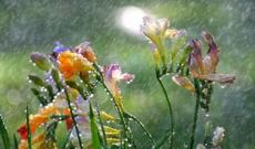 Sabah respublikamızın bəzi ərazilərində yağış yağacaq