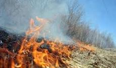 Şəmkirdə və Ağsuda yanğın olub