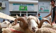 Azərbaycanda Qurban bayramıdır