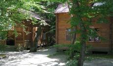 Qəbələdəki istirahət mərkəzindən — BİABIRÇI GÖRÜNTÜLƏR