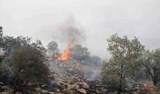 Qubada yanğın söndürülüb