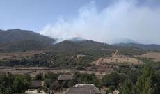 Meşədə baş verən yanğın evlərə yaxınlaşır