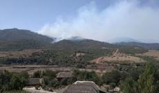 Hirkan Milli Parkında neçə gün davam edən yanğın söndürüldü