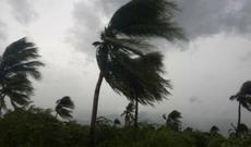 "Dorian" qasırğası ABŞ-da beş nəfərin ölümünə səbəb olub