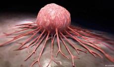 Adı Qurani-Kərimdə keçən, xərçəngi məhv edən cənnət meyvəsi