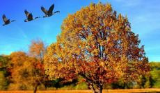 Bir neçə saata payız olacaq...