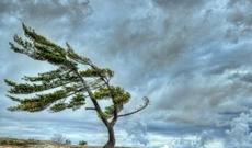 Sabah hava necə olacaq? - Proqnoz