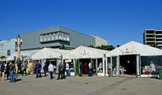 Bal yarmarkası təşkil ediləcək sahədə kameralar quraşdırılıb